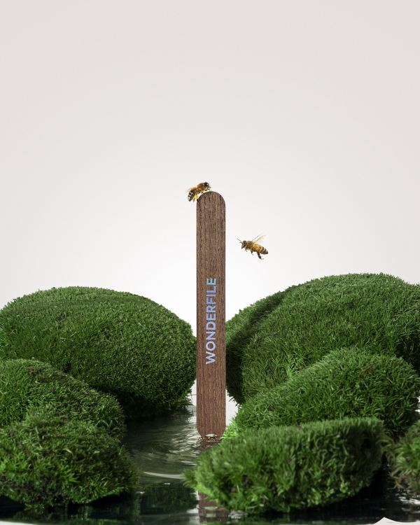 Wonderfile the wooden base 130x15mm